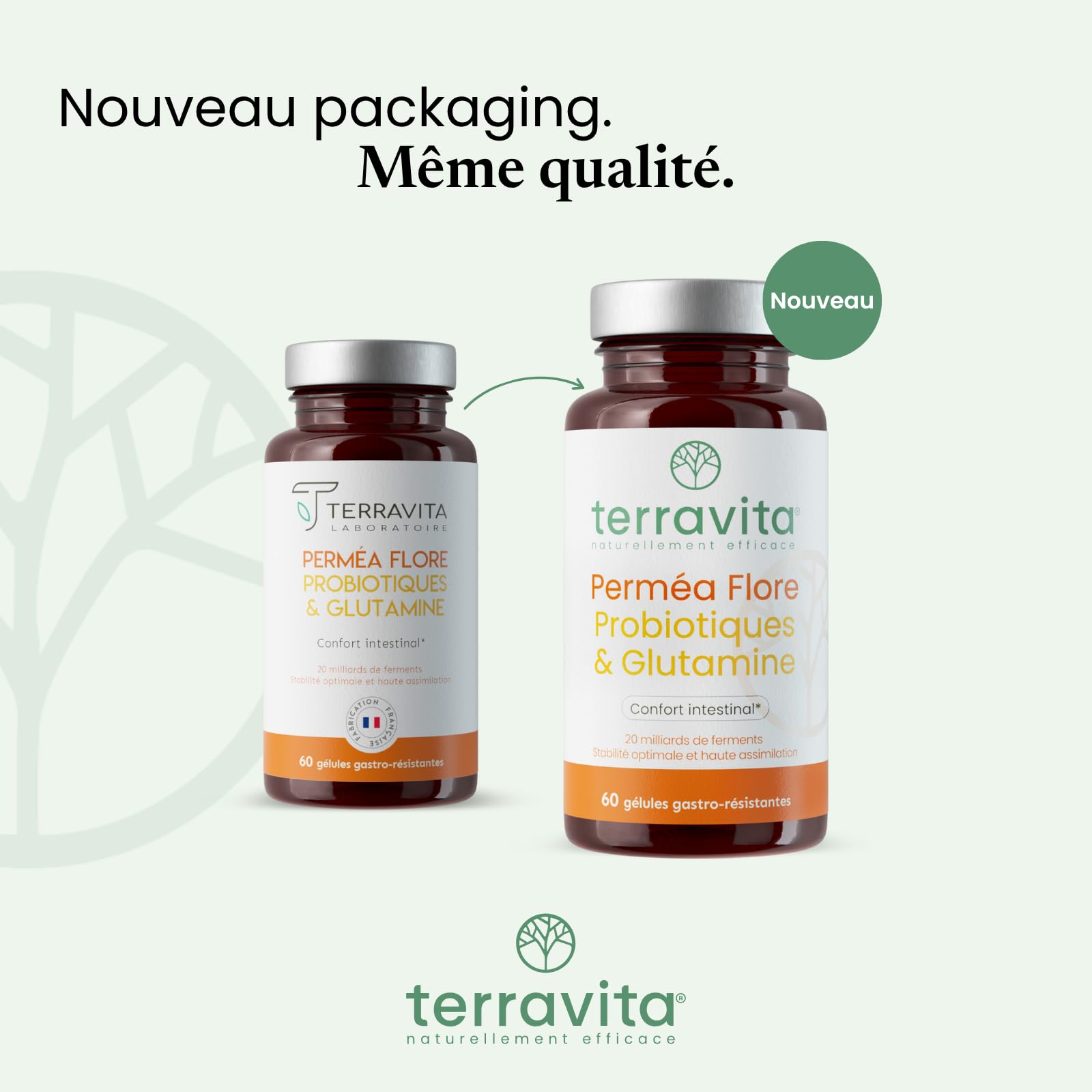 Permea Flore | PROBIOTIQUES + GLUTAMINE | Flore Intestinale et Cicatrisation de la Muqueuse | Idéal Contre la Perméabilité Intestinale | 60 Gélules Gastro-résistantes | Made in France | Terravita