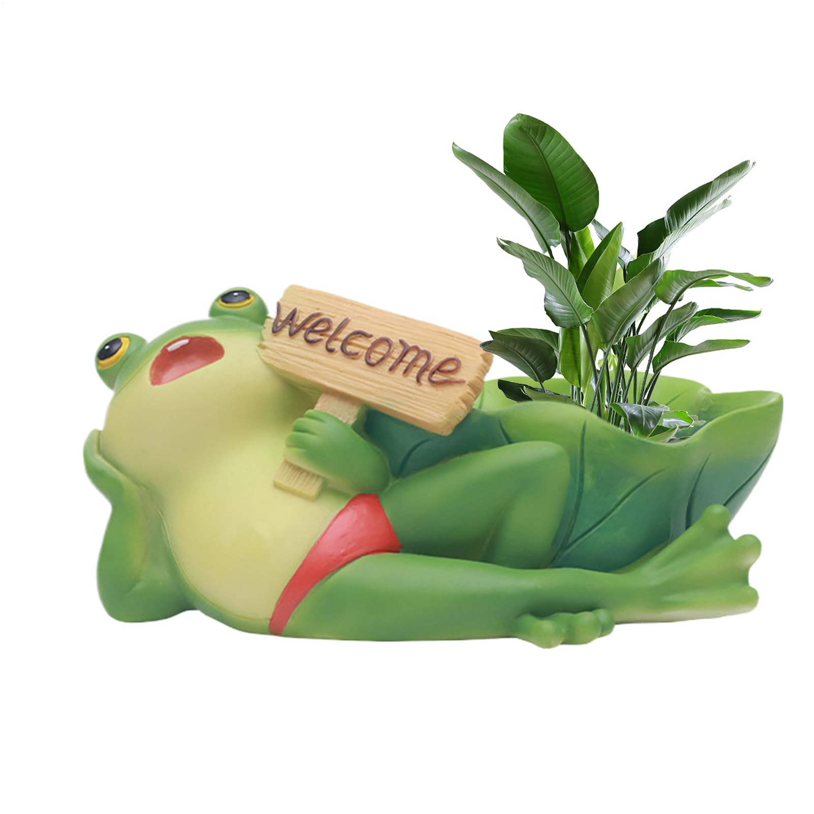 Pot de fleurs grenouille : oubliez les récipients ternes pour vos succulentes
