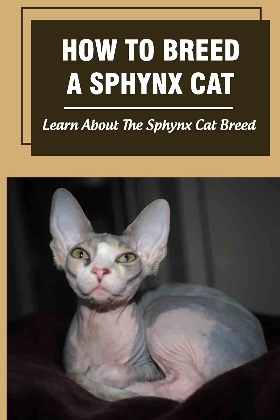 Buy How To Breed A Sphynx Cat Learn About The Sphynx Cat Breed How