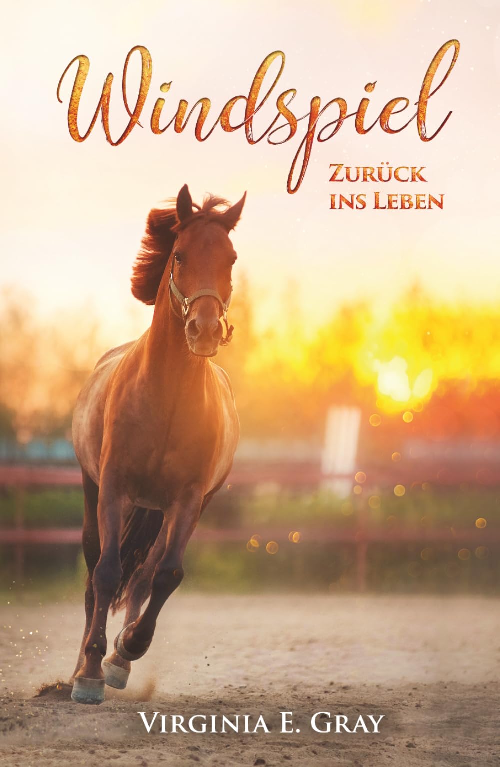 Windspiel - Zurück ins Leben