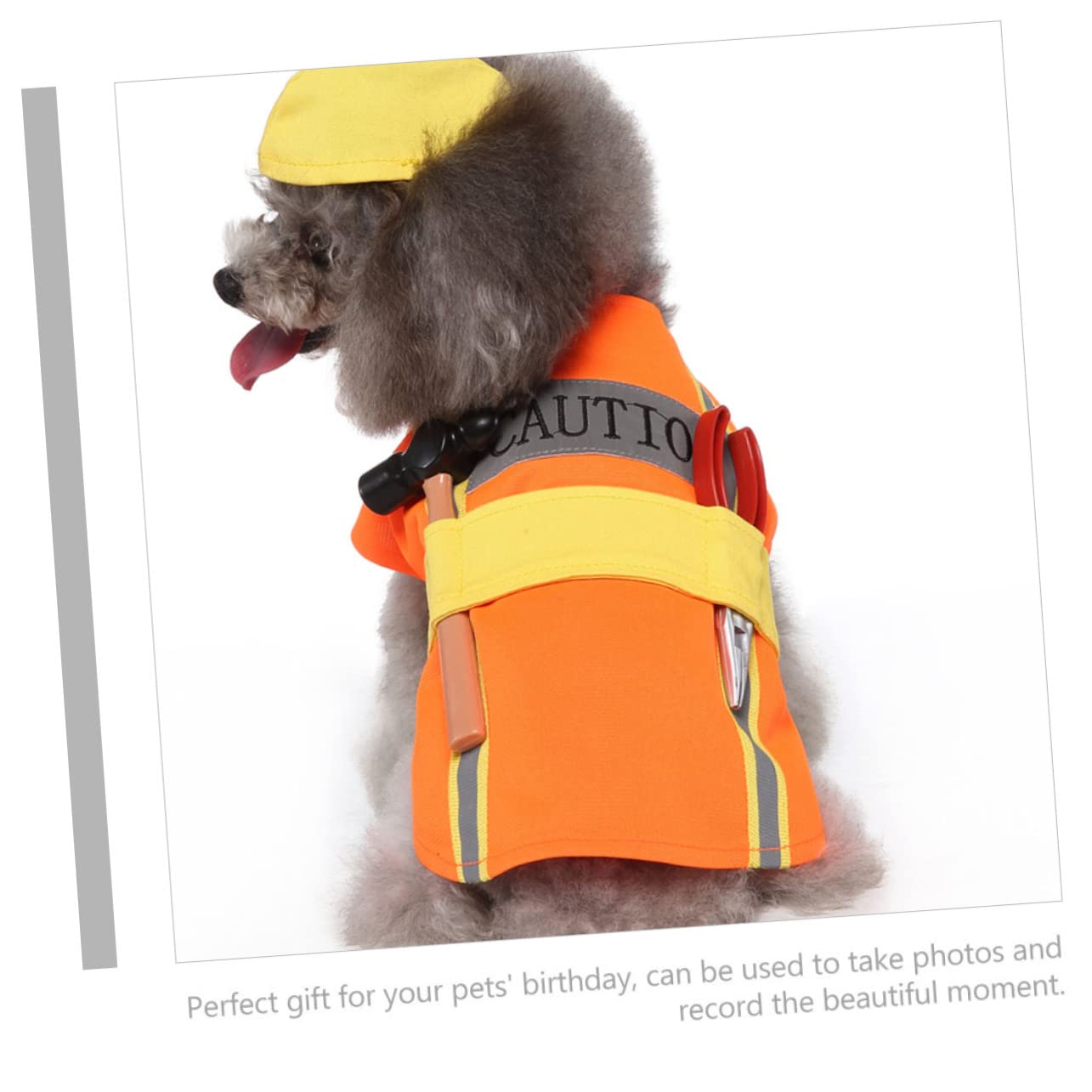 BESPORTBLE 4pezzi Costume Per Cani Adorabile Poliestere Outfit Decorativo Per Feste Per Compleanni e Servizi Fotografici