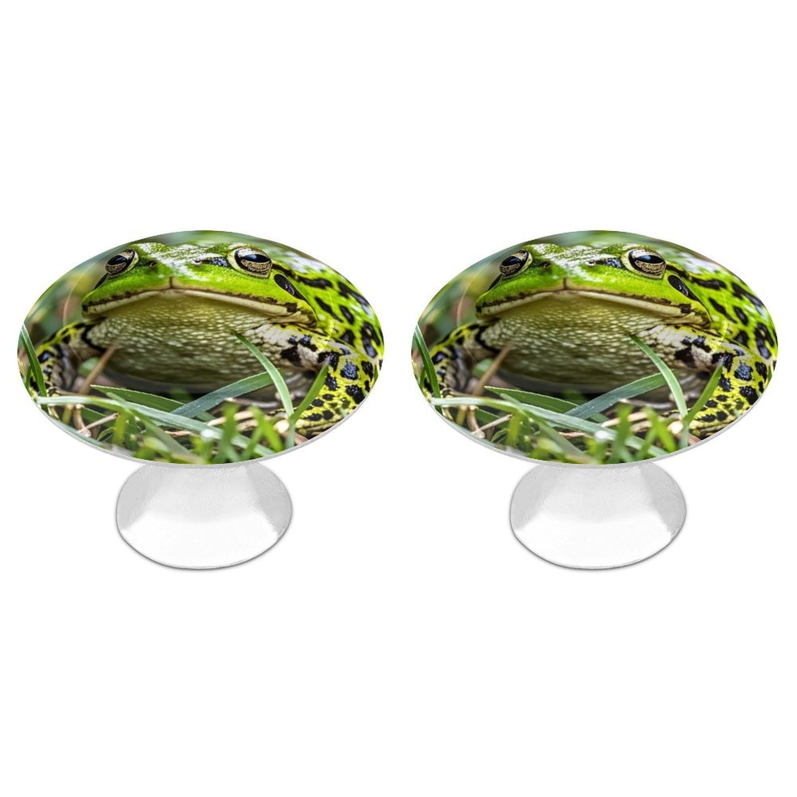 FekiLoot Round Cabinet Knob 2 Pack Kitchen Drawer Knobs Stainless Steel Round Drawer Pulls Modern Cabinet Hardware Frog Drawer Hardware for Dresser Closet Door Knobs