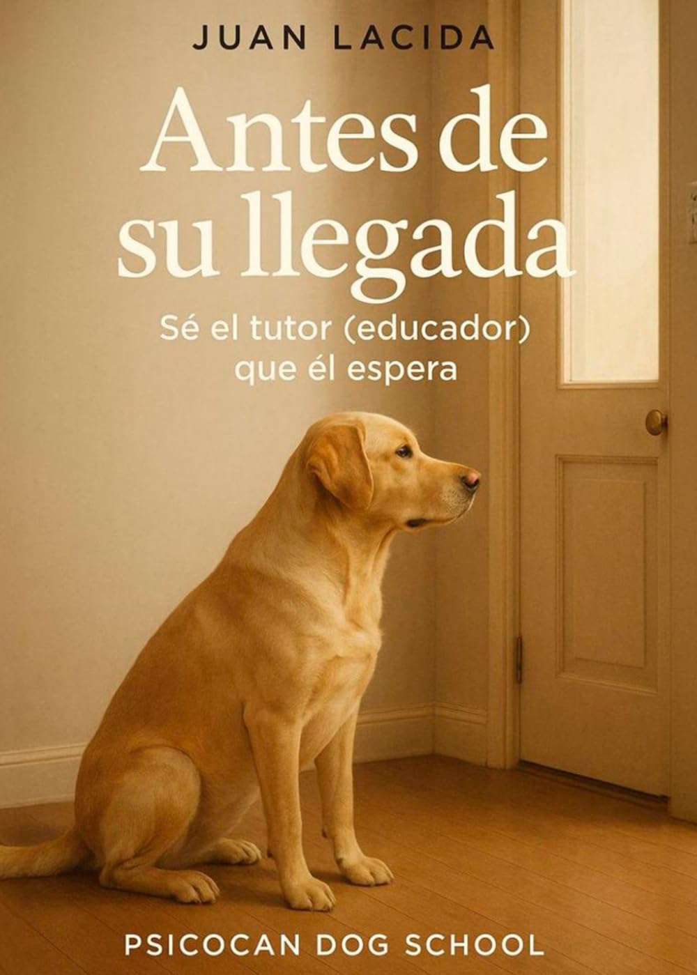 ANTES DE SU LLEGADA: Sé el tutor (educador) que él espera