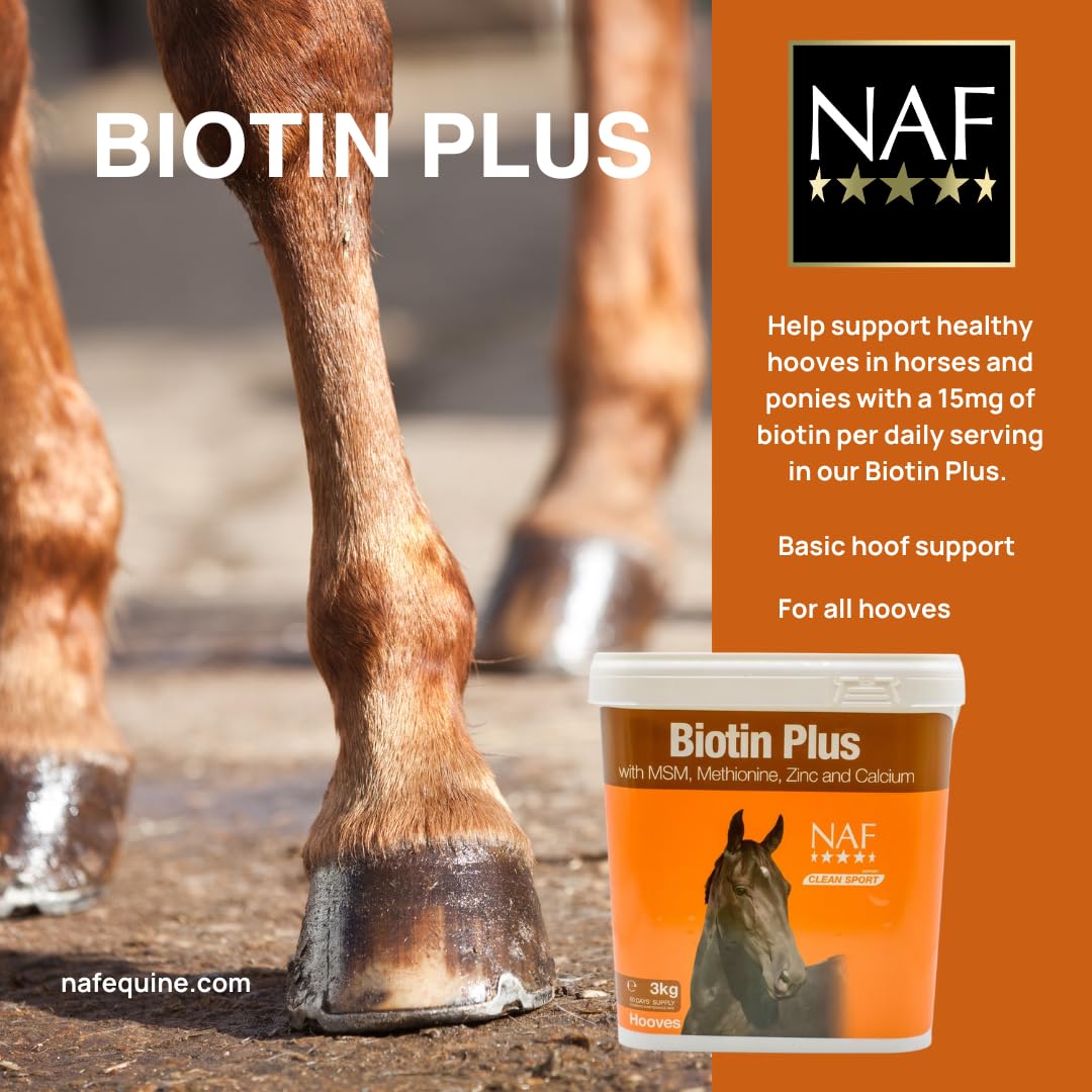 Naf Naf Natural Animal Feeds - NAF - Sapone da Sella in Pelle Unisex Adulto