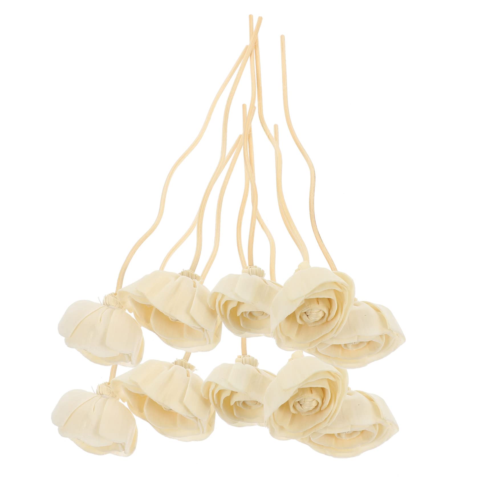 Didiseaon 3 Set Bastoncini Di Fiori Di Rattan Per Aromaterapia Diffusore Essenziale Ricarica Per Diffusore Per Interni Diffusori Per Aromaterapia Ricariche Di Oli Essenziali 10 pezzi*3