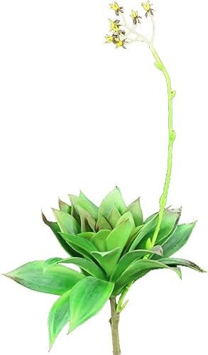 Miniatura 2 de Shinoda Design Center Juego de 2 piezas de tallo suculento sintético verde de 6 pulgadas