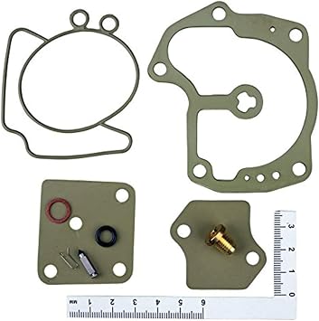 Johnson Evinrude V4 & V6 Looper Carburetor Carb Rebuild Kit Looper 120 125 140 250 275 300 HP 3.6L