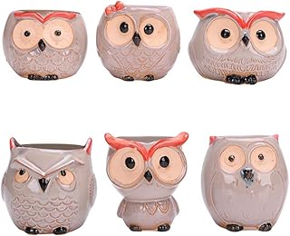 Hemoton Hoog kwaliteit 6 pcs Mini Cerâmica Decorativa Coruja Animal Vasos de Flor Plantadores Criativos Suculentas Berçário Organizador Suporte De Flores
