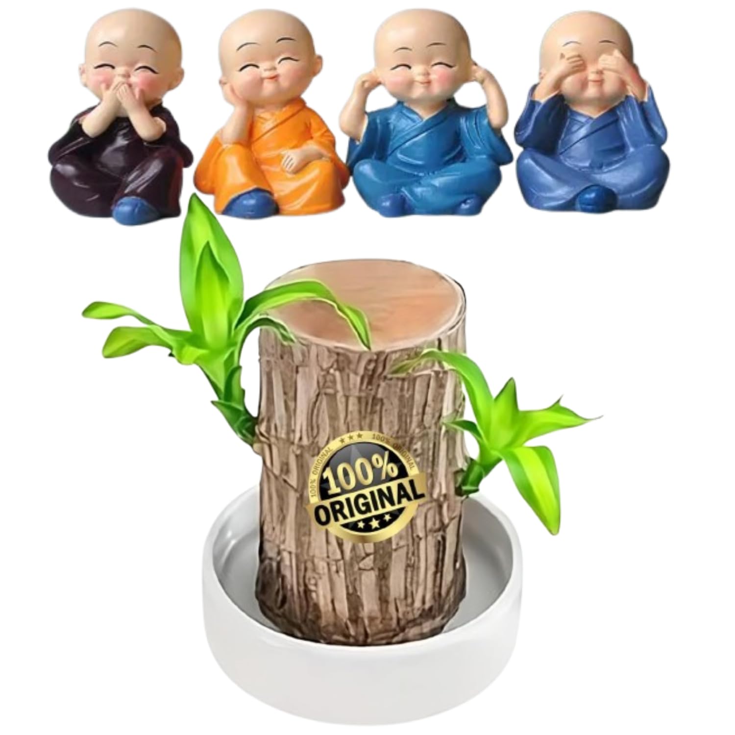 Lucky Wood Bamboo Plant Good Luck Live Plant Lucky Brazil Wood Potted Plant With Buddha Monk (Set Of 4) | Healthy Indoor Live Lucky Brazilian Wood Plant for Living Room (Style_332 (B0DHLDKQ6H) Amazon Price History, Amazon Price Tracker