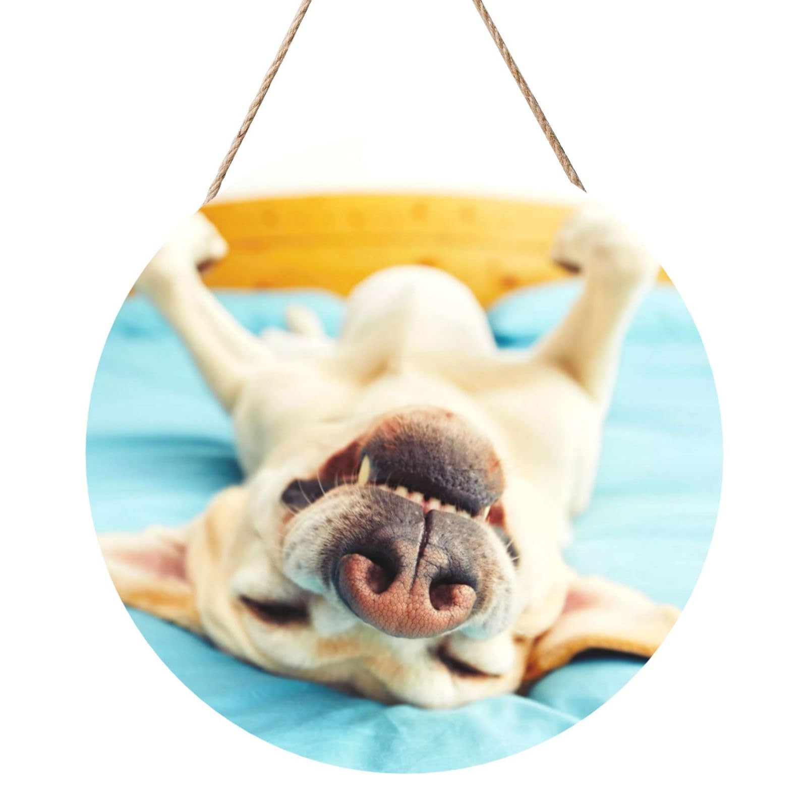 InOmak Sleeping Labrador, Round Wood Panel Painting 12 in, Wall Hanging Painting For Home