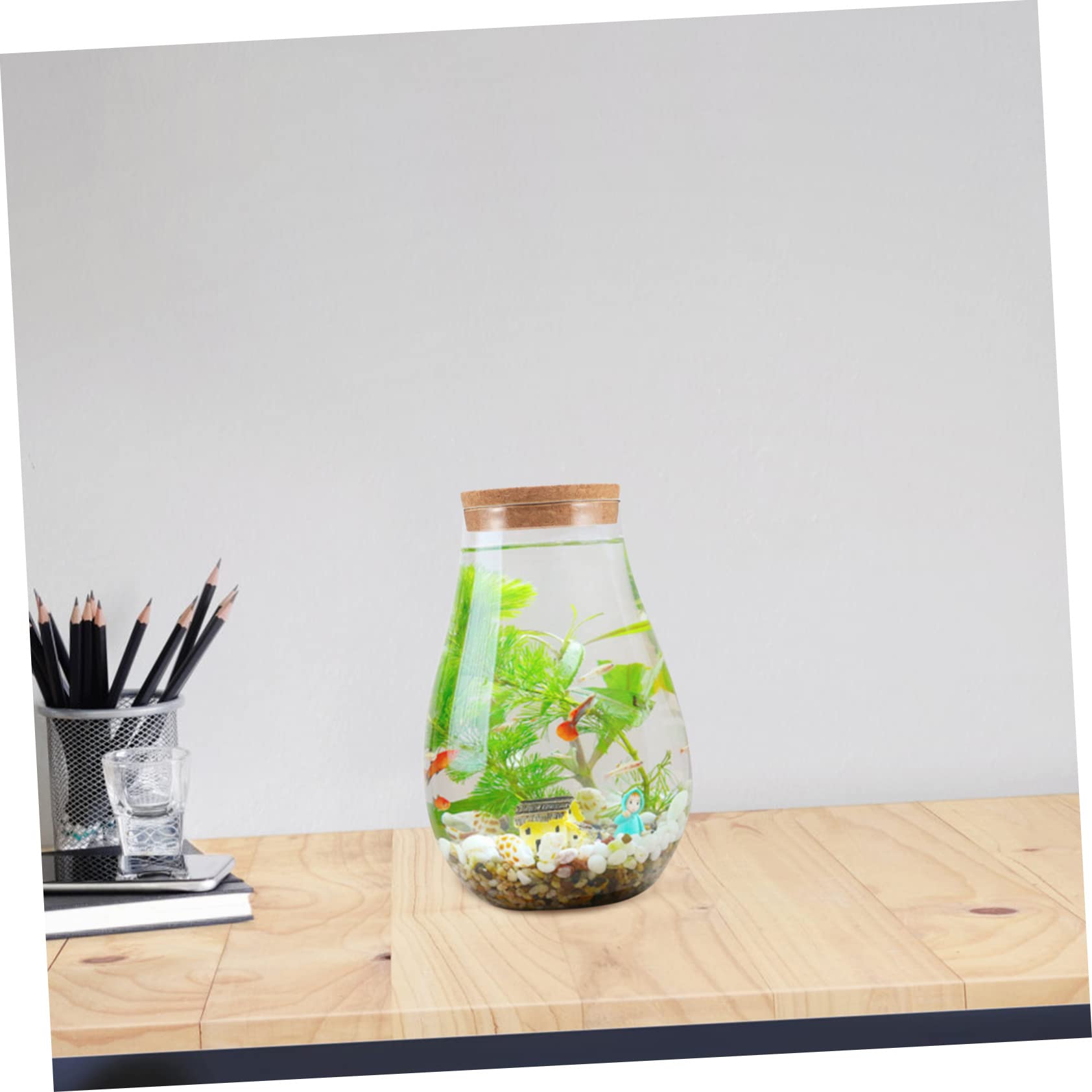Terrario in Vetro e Legno per Piante e Muschio, Decorativo