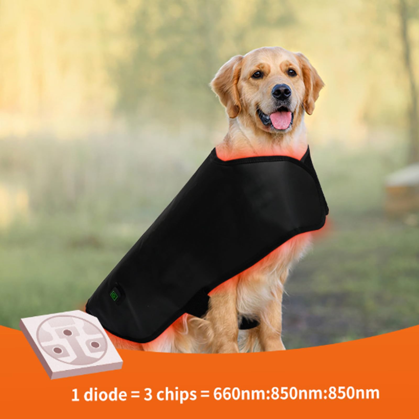 Cinturón Terapia Luz Roja Mascota, Calefacción Infrarroja, Faja Espalda Ajustable 160 LED, Recargable, Temporizador 15 Min, Alivio Dolor Artritis Perros Gatos