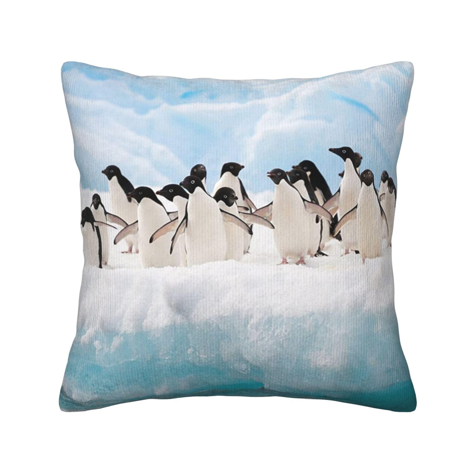 Housse de coussin pingouin velours côtelé 50x50 cm pour salon
