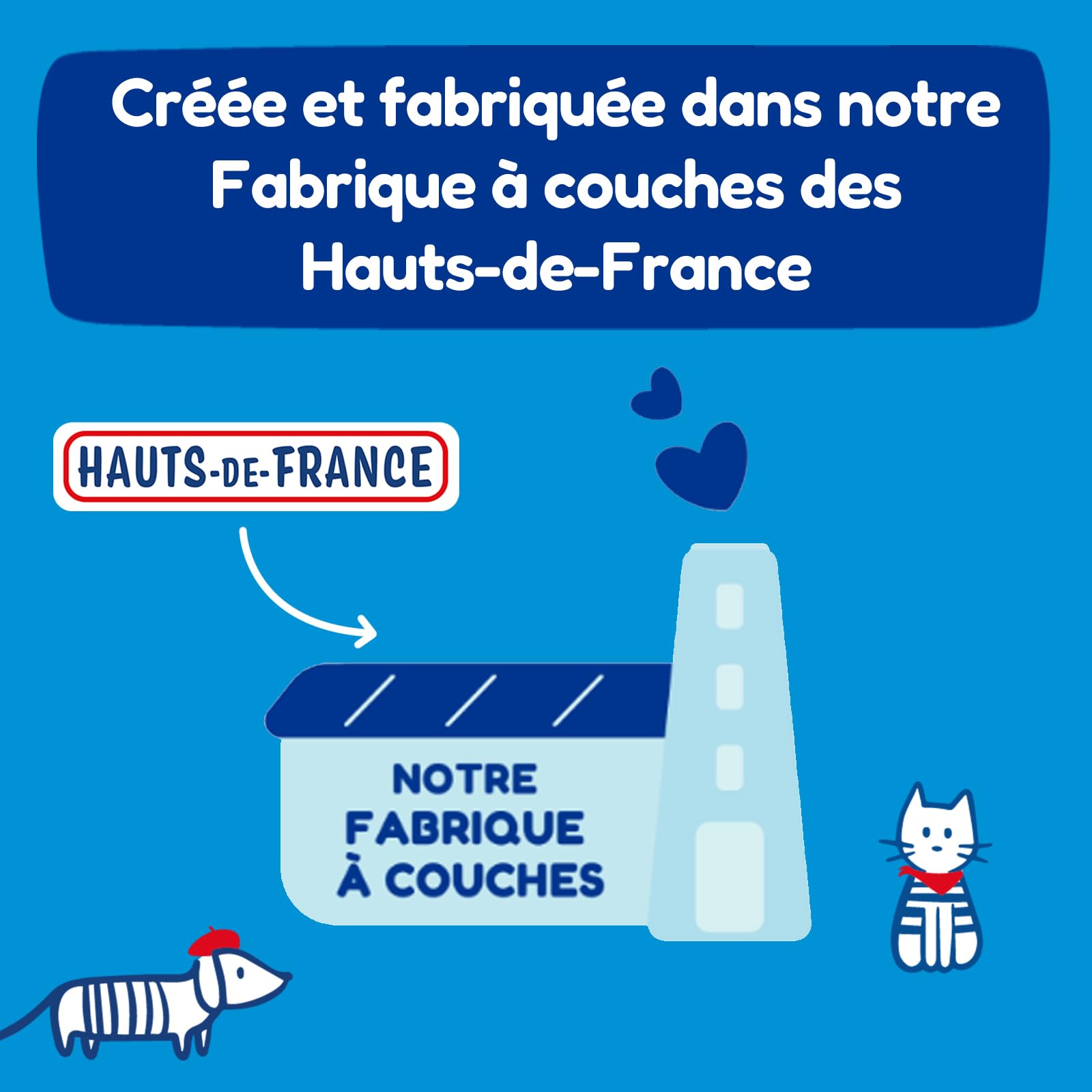 CARRYBOO - Couches Taille 5 (12-25kg) - Saines et Ultra Absorbantes - 12h Anti Fuites - Sans substances indésirables - Fabriquées en France - Prix Accessible- 120 Couches Jetables - Pack 1 Mois