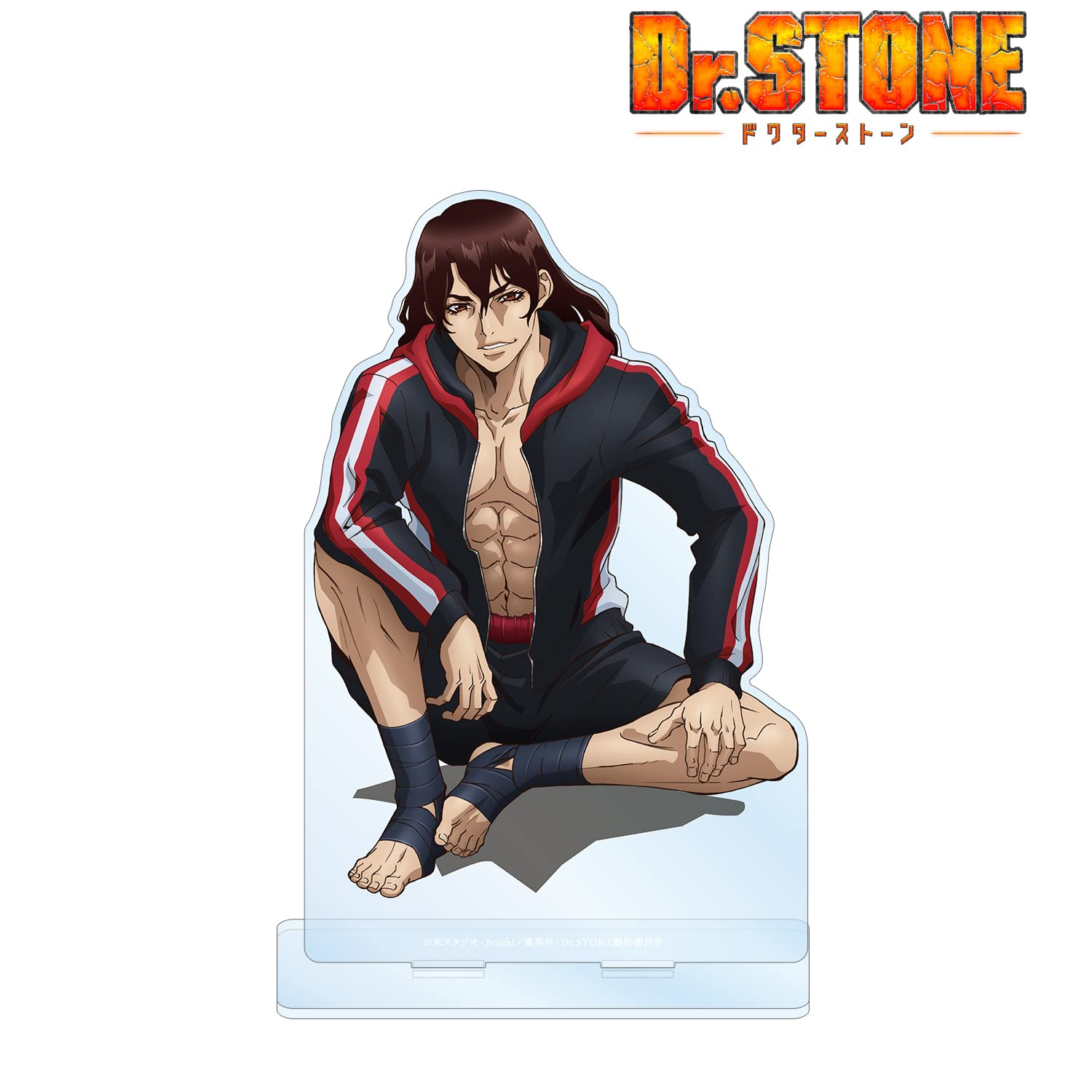 Amazon.co.jp: Dr.STONE 描き下ろしイラスト 獅子王司 石化前ver