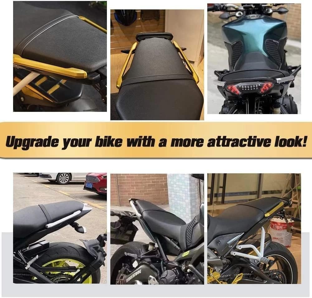 Motorrad Beifahrer Haltegriff für MT-09 FZ-09 2013 2014 2015 2016 2017 2018 2019 2020 MT09 FZ09 Sozius Rücksit Seitenhandarmlehnen Griffschienen (Titan)