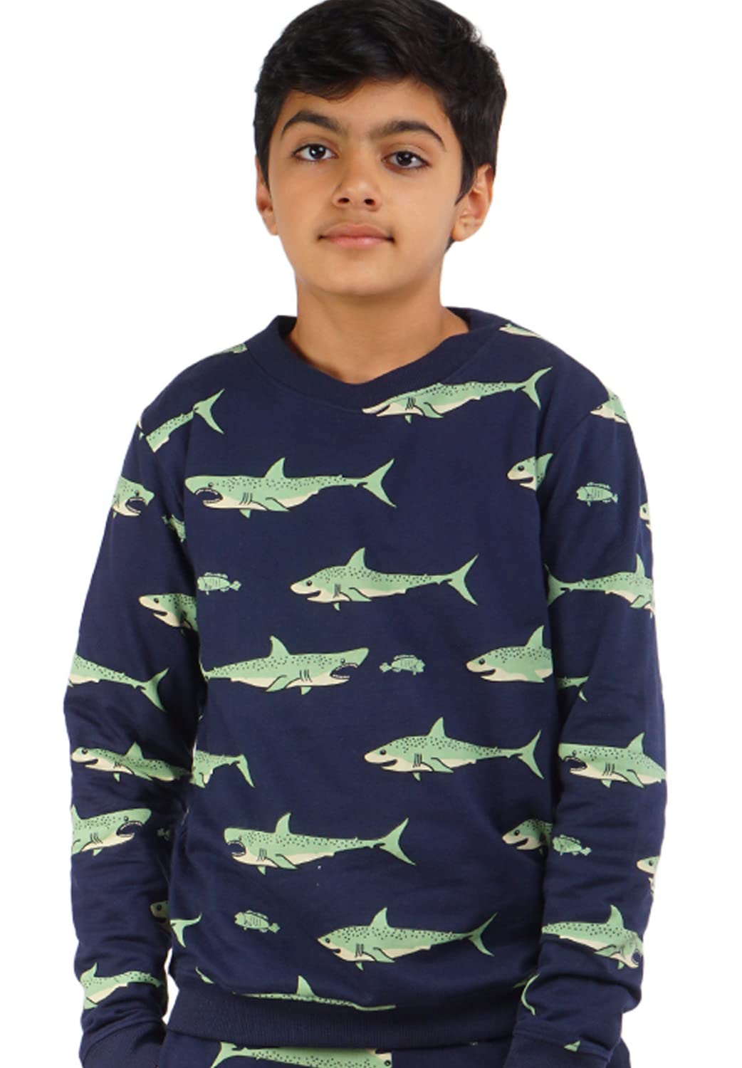ARIEL Boys Sweatshirt/Hoodie