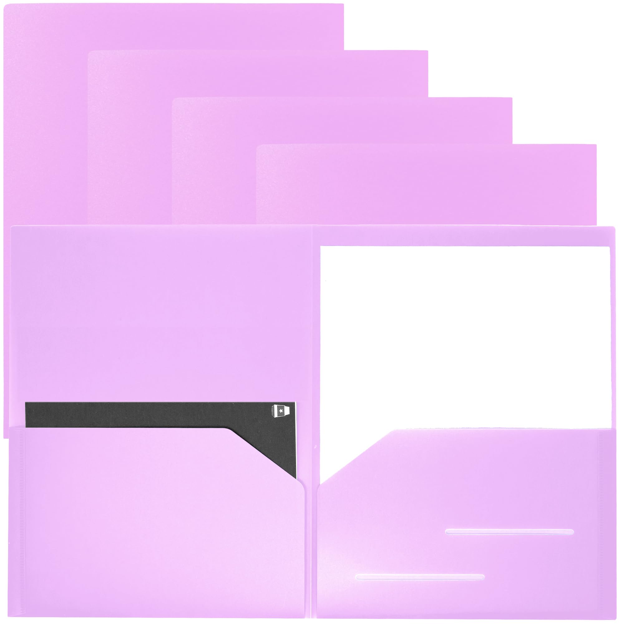 Youngever 6 Pack Heavy Duty Plastic Two Pocket Folders, Heavy Duty Plastic 2 Pocket Folder (Mauve)