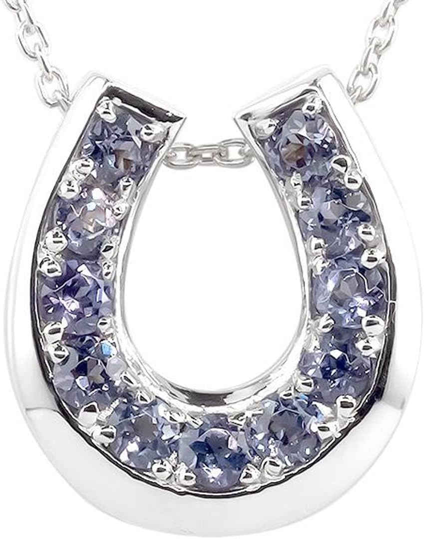 SHELLAC シェラック ループタイ TAKUYA∞着用モデル ネックレス 2025年