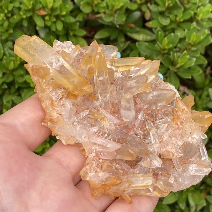 ヒマラヤ水晶 ゴールデンヒーラー クラスター 原石 特別価格]ガネッシュヒマール/ヒンドゥン産ヒマラヤ水晶