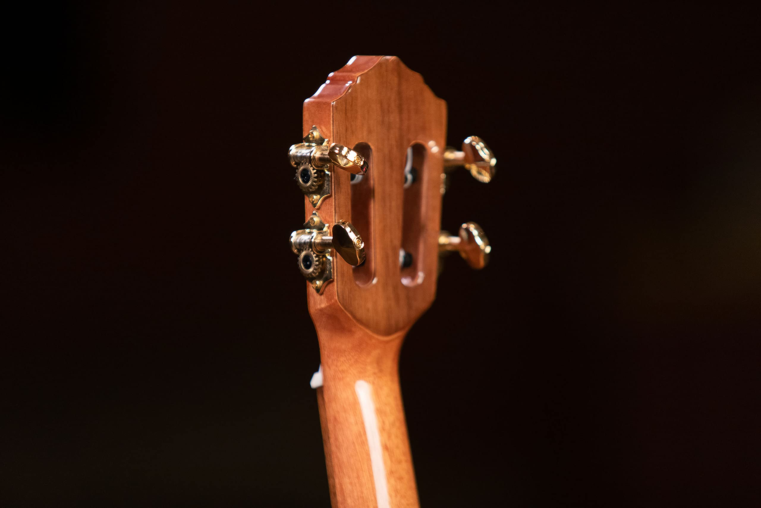 Ortega Guitars Ukulélé Concert Acoustique – 2 évents sonores – Série Custom Built – Avec Housse – Acajou, Naturel (ECLIPSE-CC4)