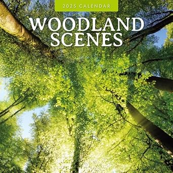 Woodland Scenes 2025 Square Wall Calendar: Red Robin: 9781804426166