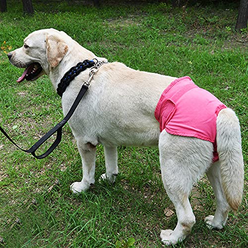 Image of Dog Sanitary Pant,Breathable Cotton Washable Female Dog Diaper Dog Suspender Nappy Menstrual Underwear Pants for Girl Female Dog Menstruation and Avoid Harassment (L)