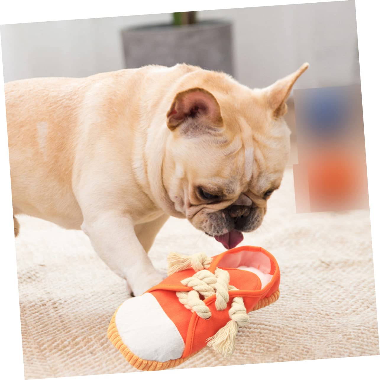 BESPORTBLE 4stücke Haustier Kauspielzeug Aus Bunte Slipper Für Hunde Und Katzen Zum Kauen Spielen Und Zahnpflege Langlebig Und Sicher Für Ihre Tiere