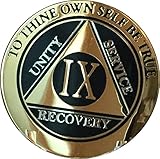9 Year AA Medallion Elegant Black Gold Silver Bi-Plate Sobriety Chip IX Serenity Prayer Back