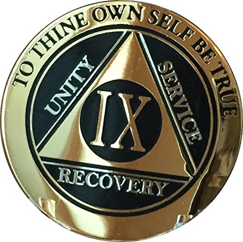 9 Year AA Medallion Elegant Black Gold Silver Bi-Plate Sobriety Chip IX Serenity Prayer Back