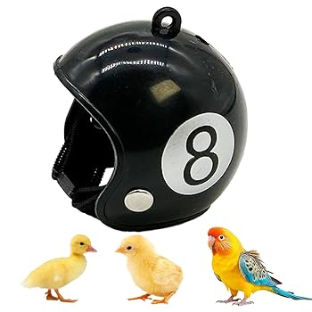 鳥の帽子 Amazon.co.jp: ibasenice 4個 オウム ヘルメット 鳥 ヘルメット