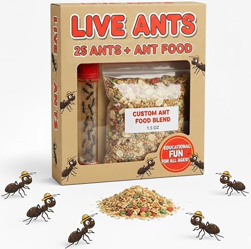 1 Tube Live Ant Farm Ants Plus Ant Food-Bundle