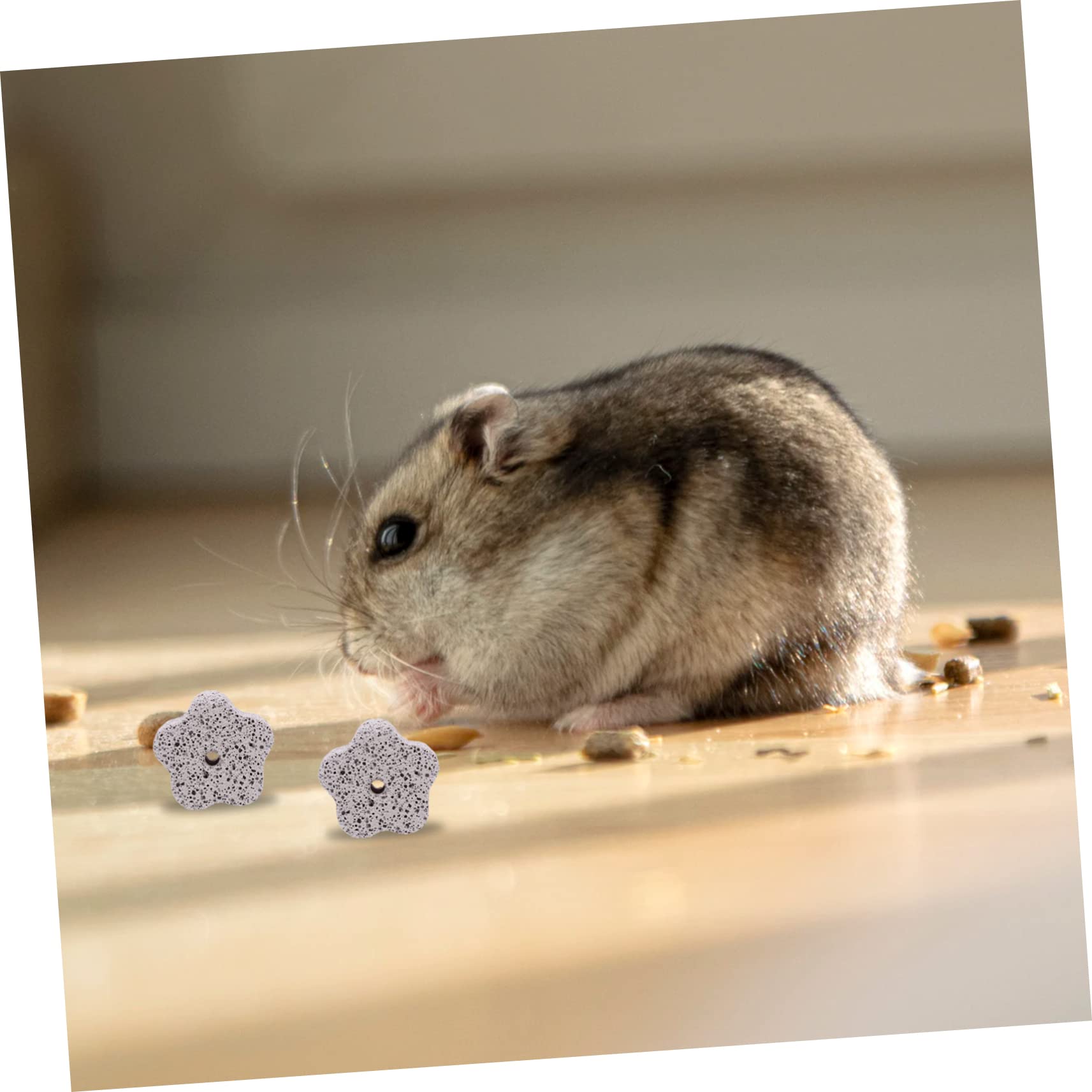 Yardwe 36stücke Calcium-Mineral-zahnungsspielzeug Pflaumenform Für Hamster Kaninchen Und Andere Kleintiere Sicheres Und Farbenfrohes Kauspielzeug Zahnreinigung Und Pflege