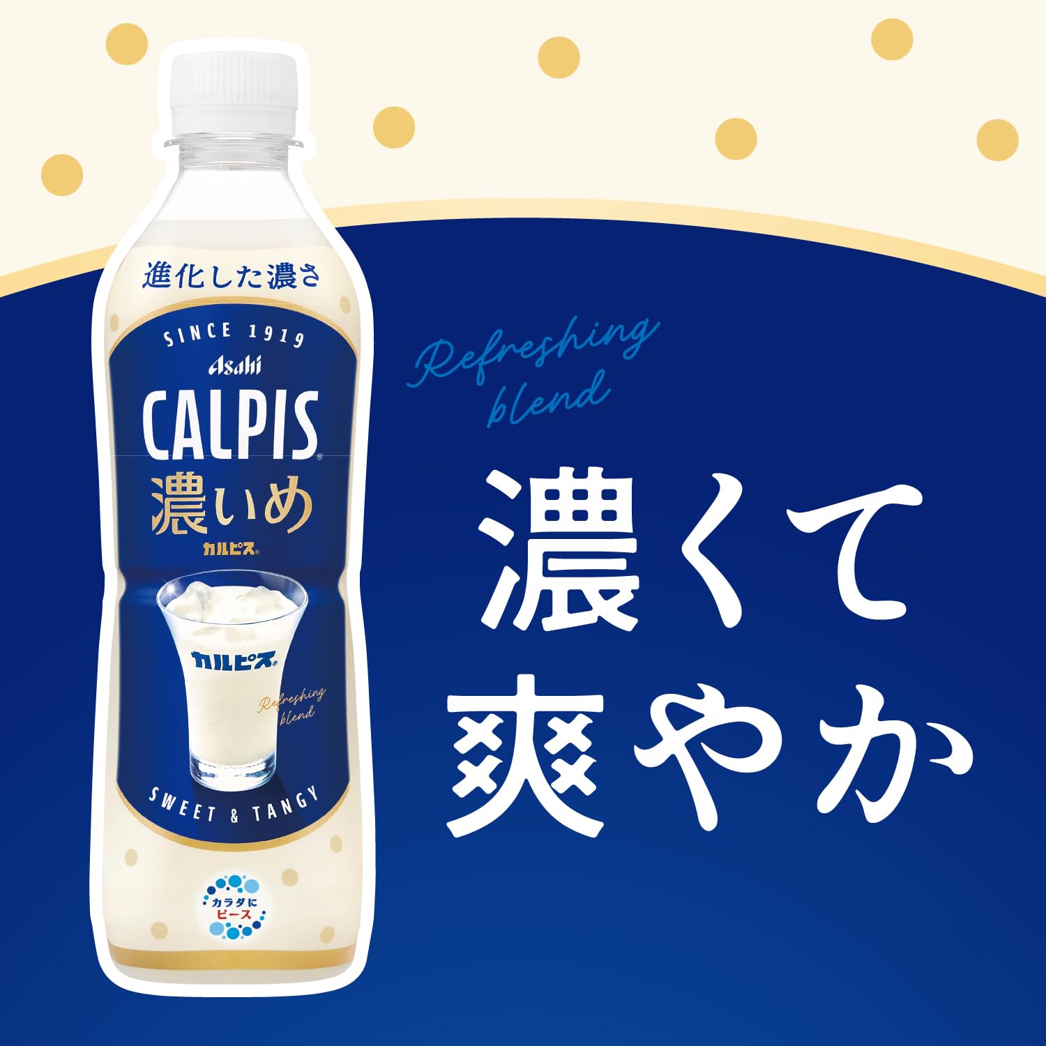 Amazon.co.jp: Calpis Calpis Thick, 16.2 fl oz (490 ml) x 24
