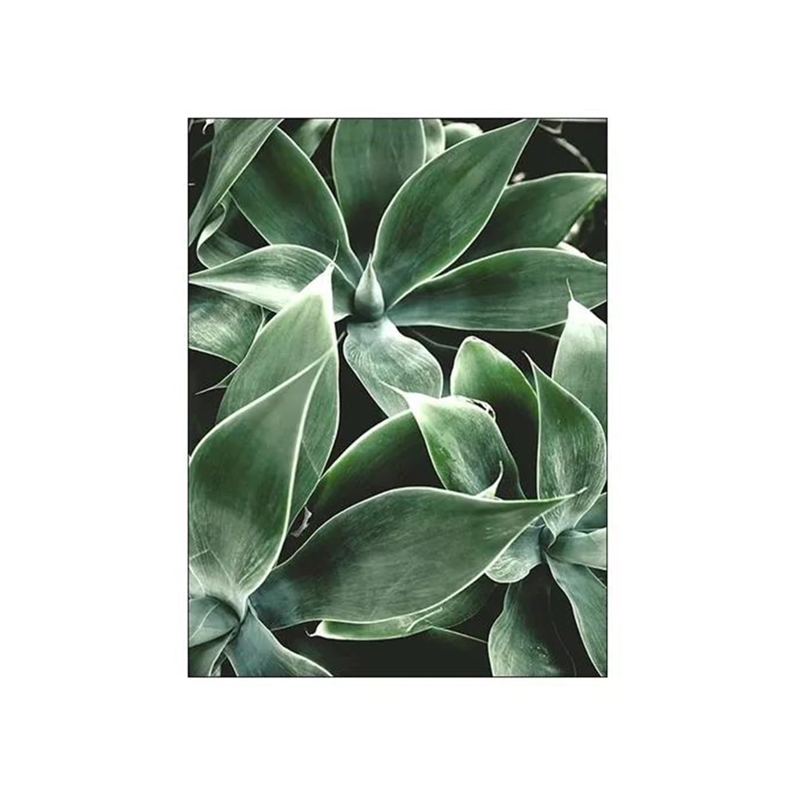 Póster artístico de pared con impresión detallada de plantas sobre lienzo de textura fina