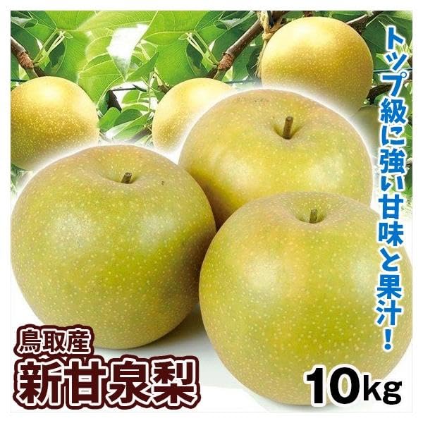 梨 初初しげカンセン 10kg リピーター事様専用 梨 新甘泉」の人気商品