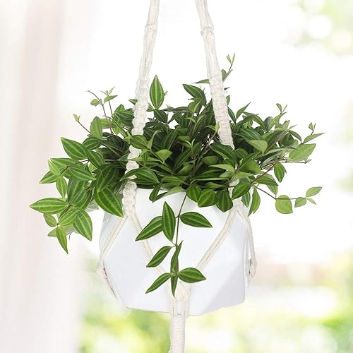 Miniatura 4 de AOMGD Paquete de 3 colgadores de macramé para plantas con 3 ganchos, diferentes tamaños para macetas colgantes para plantas de interior para