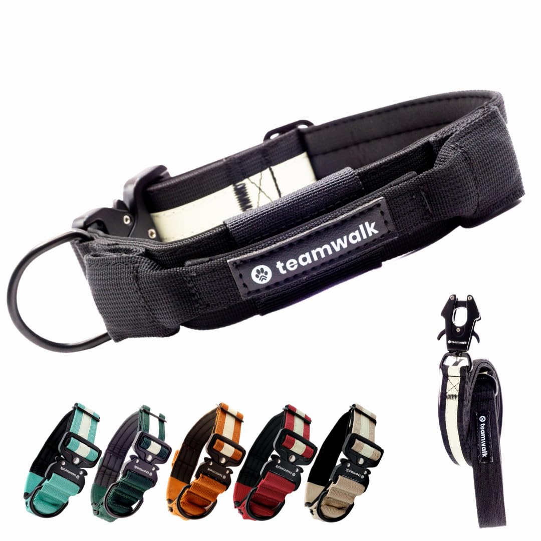 Premium Hundehalsband - mit Magnetgriff, Leuchtstreifen, Air-Tag Tasche, individuell einstellbar, weiche Polsterung, robuste Schnalle, mit passender Leine erhältlich, JETZT NOCH Leichter(L)