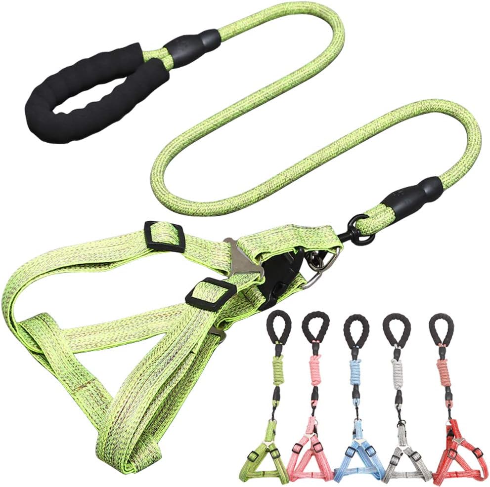 CHBORLESS No Pull Dog Harness Leash Set Adjustable Vest Durable Heavy Duty Training Dog Leash Puppy Basic Harness Leash for Small Dogs (Green, M)