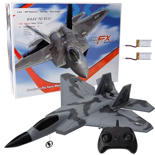 ONMDQS F22 RC Plane - WRJ0063
