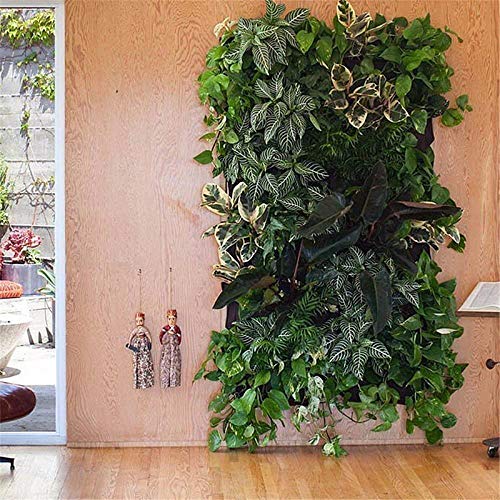 Planten Tassen Muur Hangende Zakken Tuinplanten Planter Outdoor Indoor Verticale Groenen Groeien Tassen voor Yards, Appartementen, Balkons, Patio's, Schoolwerven en Gemeenschappelijke en Daktuin 36 pockets Planten Tassen Muur Hangende Zakken Tuinplanten Planter Outdoor Indoor Verticale Groenen Groeien Tassen voor Yards, Appartementen, Balkons, Patio's, Schoolwerven en Gemeenschappelijke en Daktuin 36 pockets