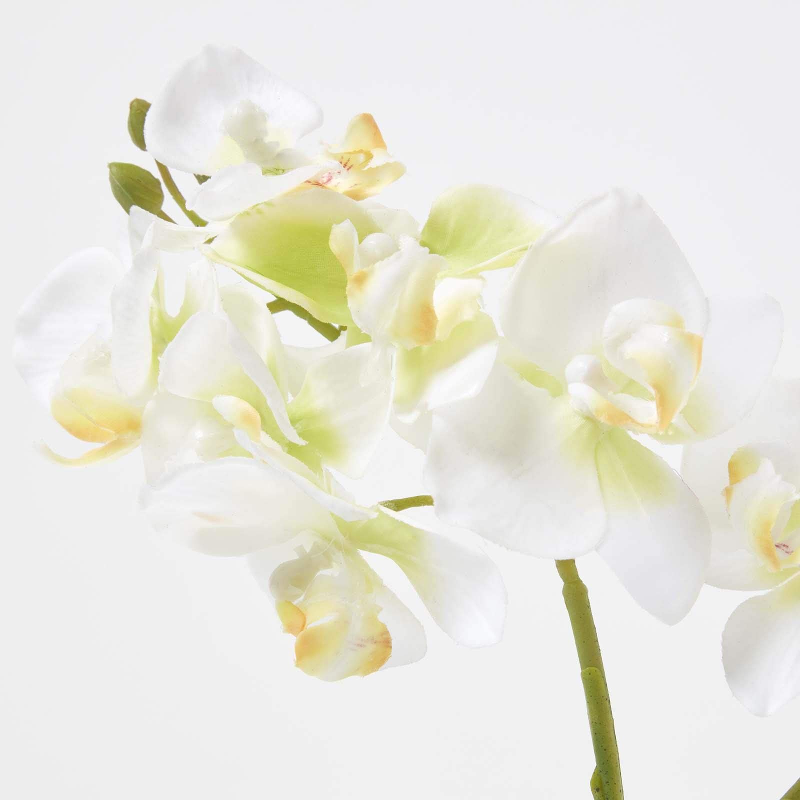 Homescapes - Orchidea artificiale bianca in vaso, altezza 56 m, in vaso di ceramica nera con fiori di seta e foglie verdi, orchidea Phalaenopsis per decorazione interna