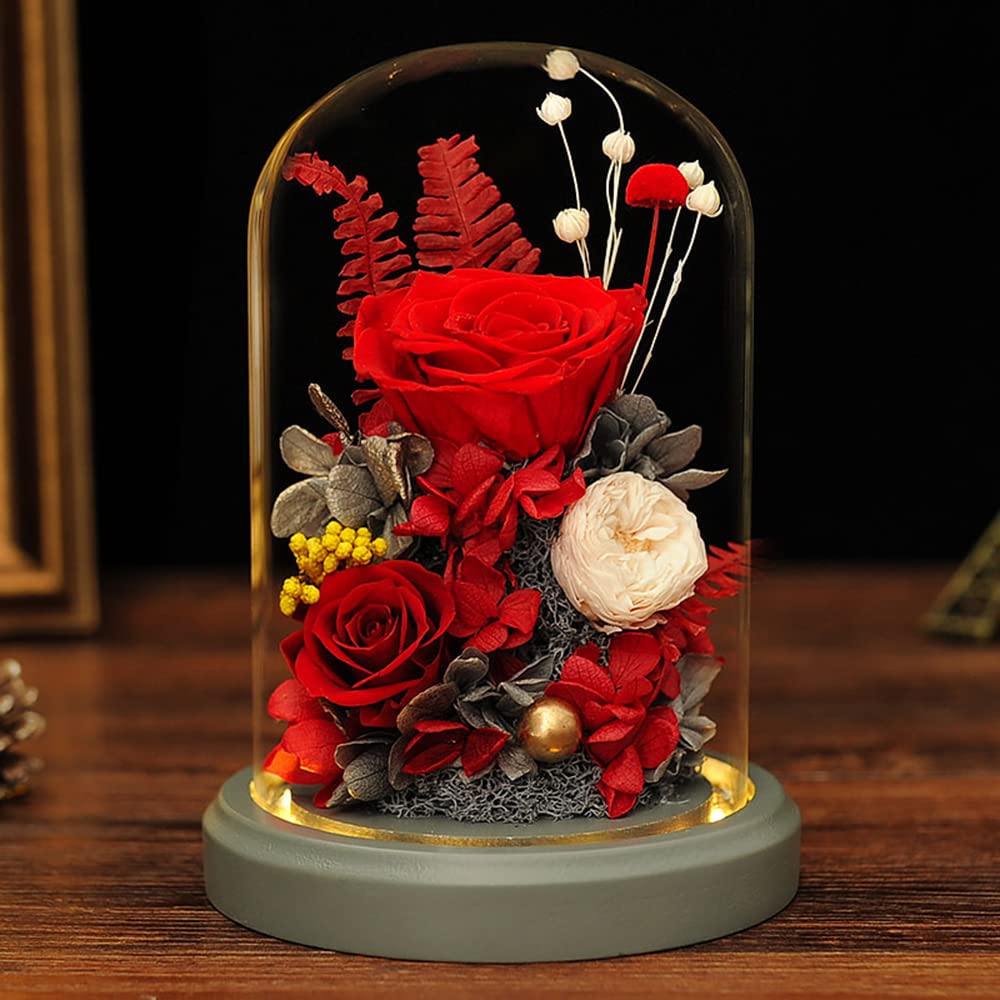 FIZOZIPreserved Rose Roses in Glass Dome, Real Roses Never Withered Flower Gifts for Her, Valentine's Day, Mother's Day, Birthday (red)