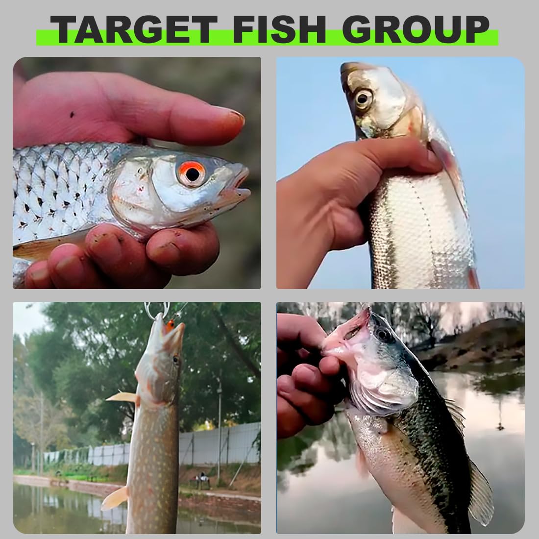 PBAHAUP Bait Fish Set of 2 Wobblers Fishing Lures for Zander Pike Perch Predator Bait with Swimming Diving Behavior for Freshwater Fishing, Fishing 