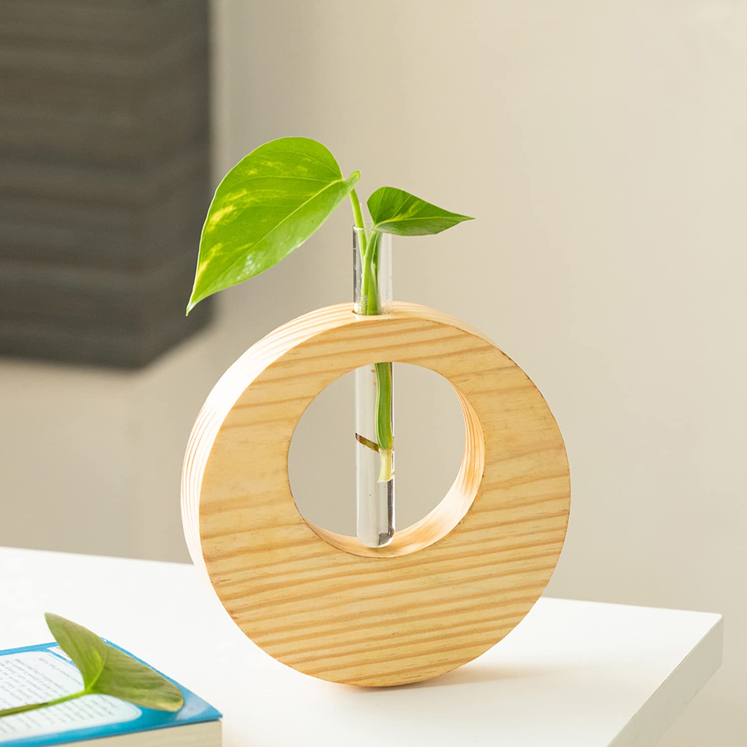 ExclusiveLane Pine Ring Glass Garden Test Tube Planter for Home Decor (9 Inch, Light Brown) | Table Test Tube Vase for Flower Decoration with Wooden Stand (B0C4YPKQ6W) Amazon Price History, Amazon Price Tracker