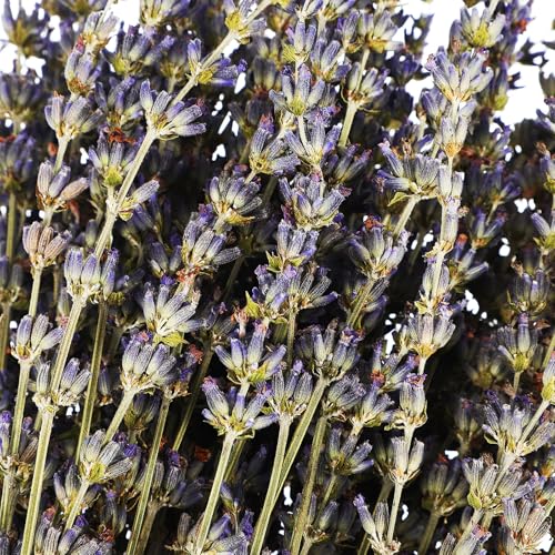 Ramo de flores secas de lavanda para decoración miniatura 6