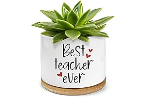 Best Cactus Teacher Gifts, Succulent Planter Pots for Teachers