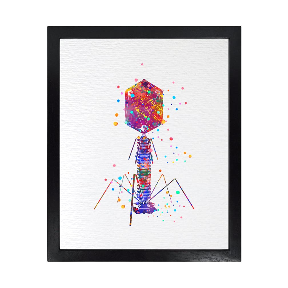 Dignovel Studios 8X10 Unframed Bacteriophage Medical Art Microbiology Virus Art Biology Bacteria Microscopy Science Watercolor Art Print Poster Wall Art Nursery Kids Office Home Decor DN598