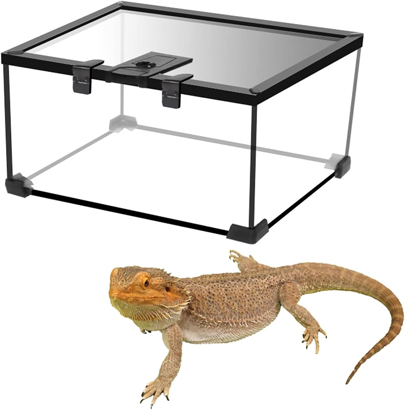 2.5 Gallon KnockDown Reptile Tank, 11.8" x 7.9" x 6.3" Reptile Tall Glass
