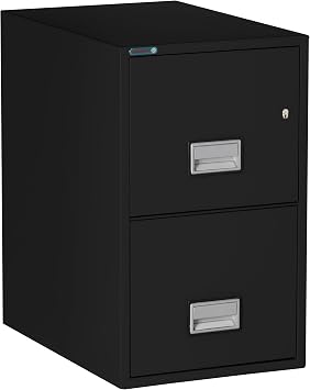 Vertical Fireproof File Cabinet 25" Letter 2-Drawer, Black | Letter Size Filing, Key Lock, Water Resistant Seal, Fire Safe and Impact Rated, Model LTR2W25B